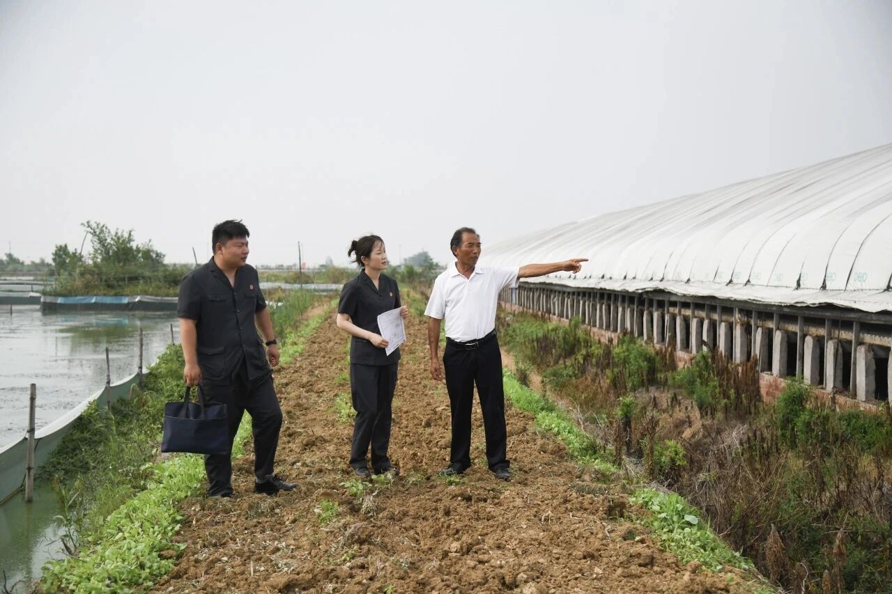 法官到新的养鸭现场回访。.jpg